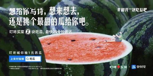 描写吃瓜的人的文案,揭秘吃瓜群众的百态人生